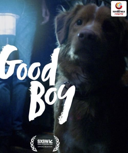 Good Boy new movie release this week