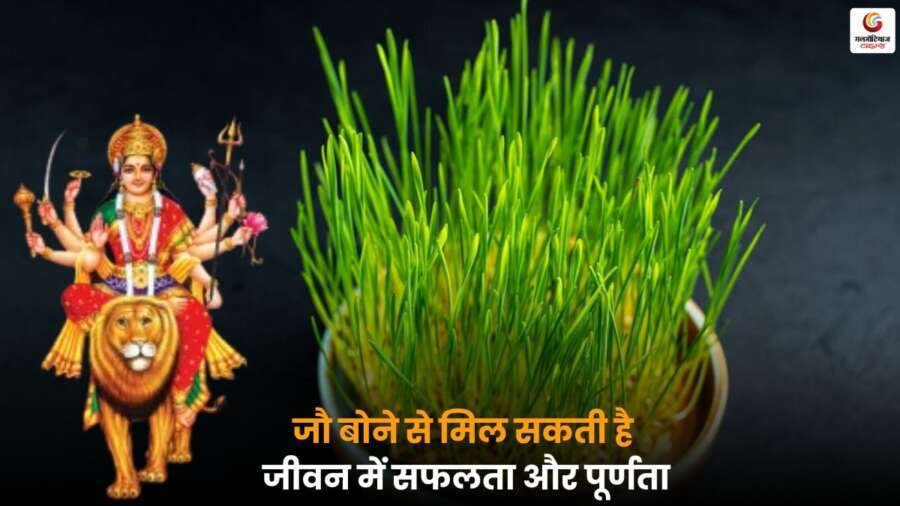 Barley Life Success – जौ बोने से जीवन में सफलता और पूर्णता का महत्व.