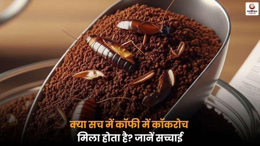 Cockroach In Coffee Powder मिलने की अफवाहों की सच्चाई जानें और सुरक्षित कॉफी चुनने के टिप्स प्राप्त करें.