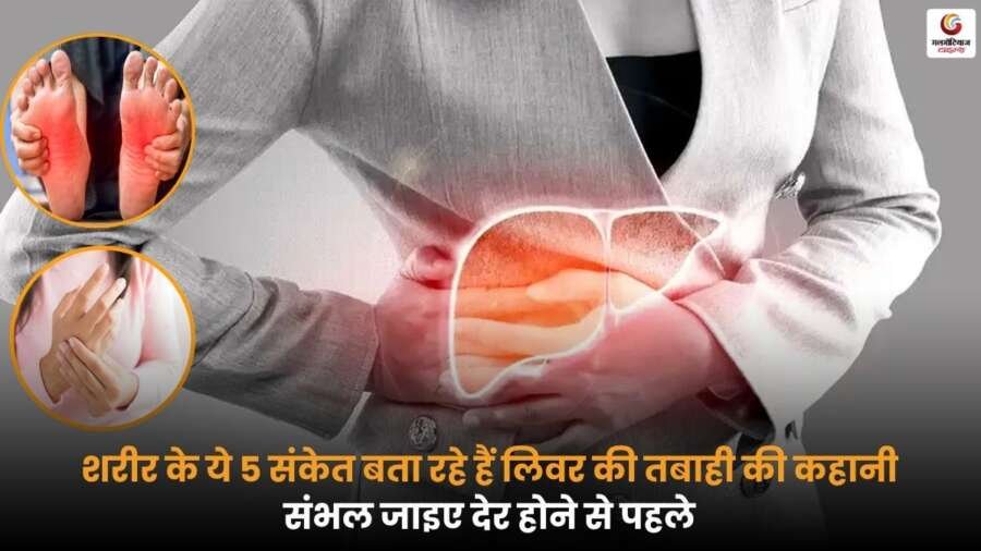Liver Health से जुड़ी चेतावनियों को पहचानें, हाथ-पैरों में सूजन, थकान और पीली त्वचा जैसे लक्षण लिवर खराब होने के संकेत हो सकते हैं, इन्हें न करें नजरअंदाज.