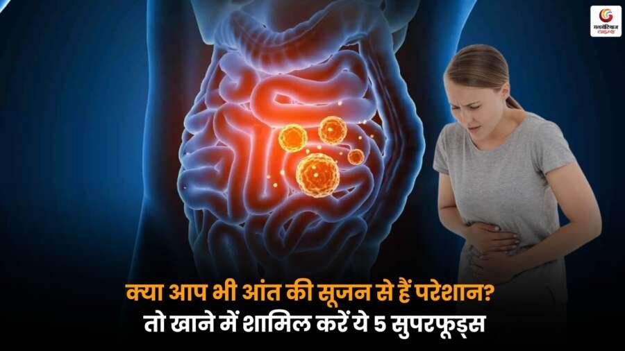 Superfoods for Gut Inflammation: आंत की सूजन से परेशान? जानें 5 सुपरफूड्स जो दें आराम आंत की सूजन और पाचन समस्याओं से राहत के लिए कैलिफ़ोर्निया के गैस्ट्रो विशेषज्ञ द्वारा सुझाए गए 5 सुपरफूड्स शामिल करें.