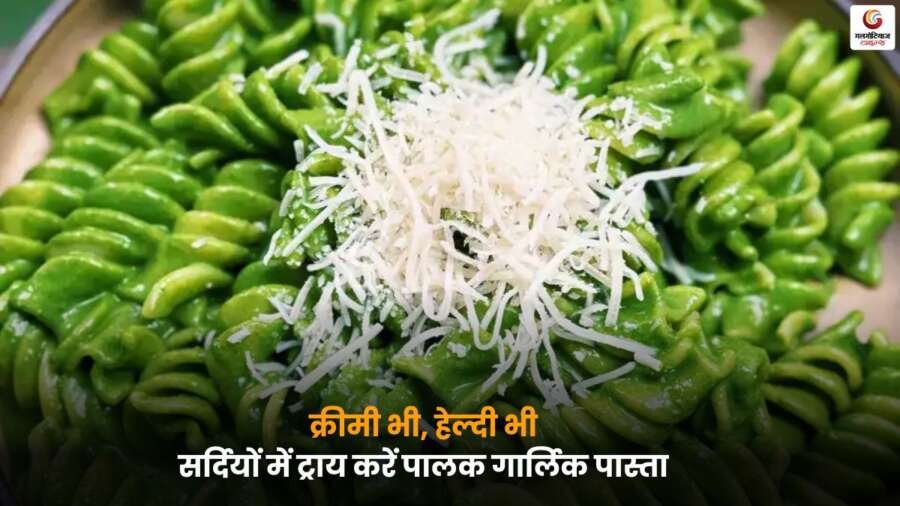 Spinach Garlic Pasta: ठंड में बॉडी गर्म रखने के लिए आसान और स्वादिष्ट पालक गार्लिक पास्ता रेसिपी ट्राय करें.
