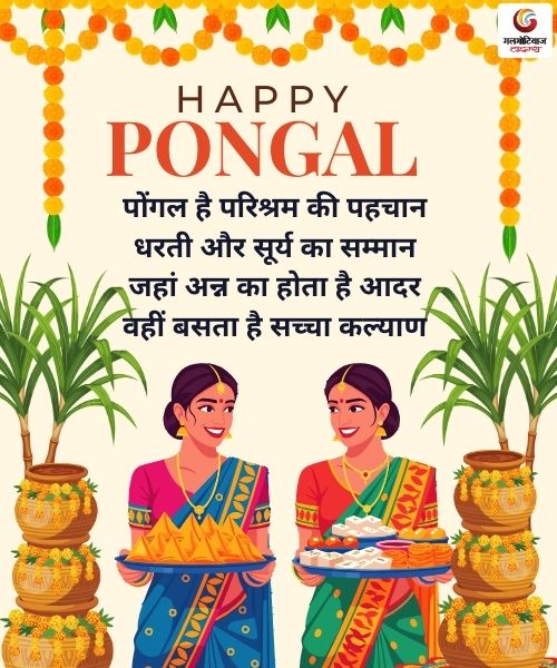 Pongal 2026 Wishes Carousel share on whatsapp instagram facebook