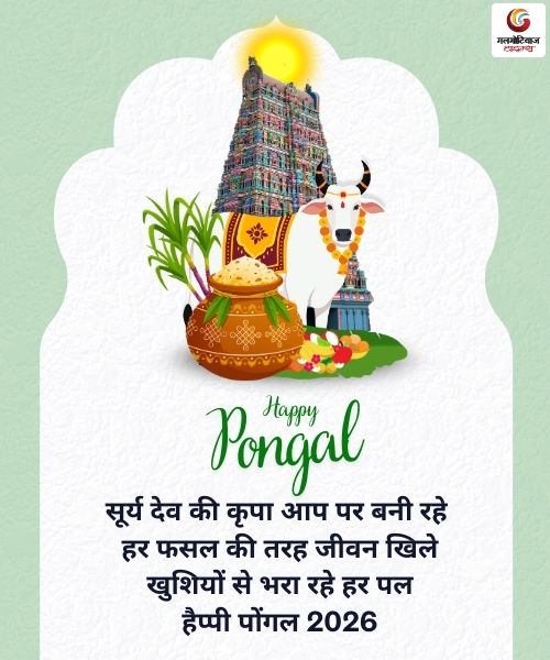 Pongal 2026 Wishes Carousel share on whatsapp instagram facebook