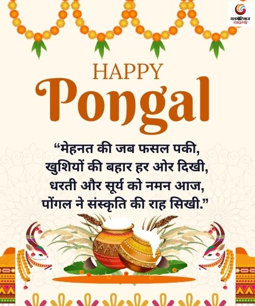 Pongal 2026 Wishes Carousel share on whatsapp instagram facebook