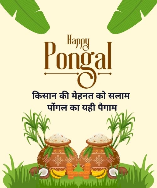 Pongal 2026 Wishes Carousel share on whatsapp instagram facebook