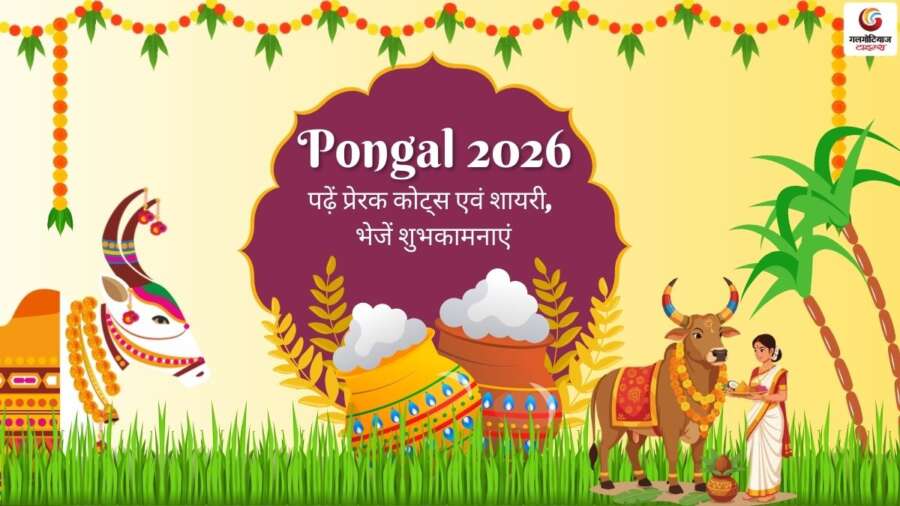 Pongal 2026 Quotes & Wishes share on whatsapp instagram facebook