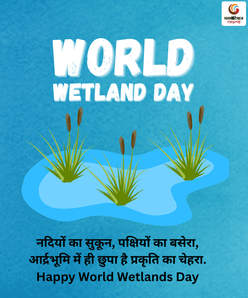 World Wetlands Day 2026 Wishes Carousel share on whatsapp instagram facebook