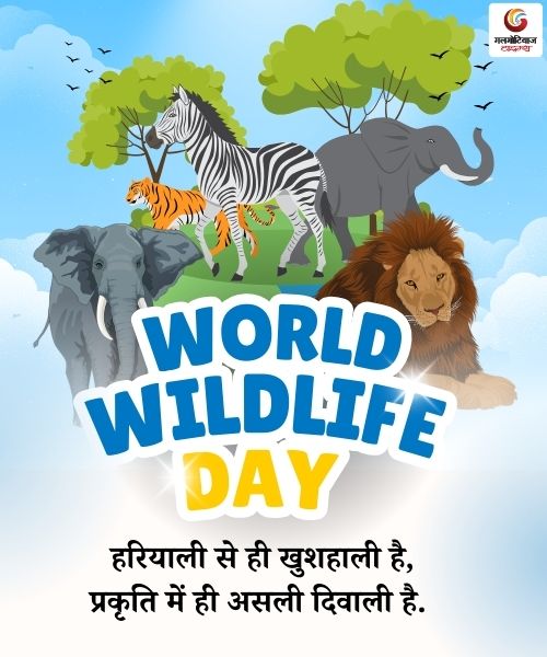 World Wildlife Day Carousel share on whatsapp instagram facebook World Wildlife Day Carousel share on whatsapp instagram facebook