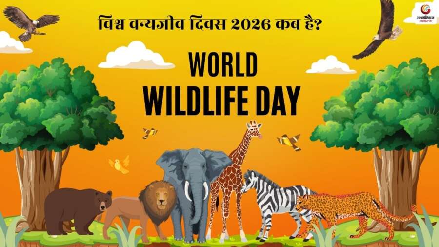 World Wildlife Day Quotes & Wishes share on whatsapp instagram facebook World Wildlife Day Quotes & Wishes share on whatsapp instagram facebook