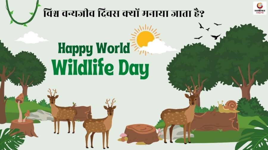 World Wildlife Day Quotes & Wishes share on whatsapp instagram facebook World Wildlife Day Quotes & Wishes share on whatsapp instagram facebook