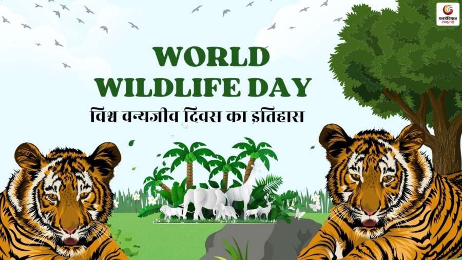 World Wildlife Day Quotes & Wishes share on whatsapp instagram facebook World Wildlife Day Quotes & Wishes share on whatsapp instagram facebook