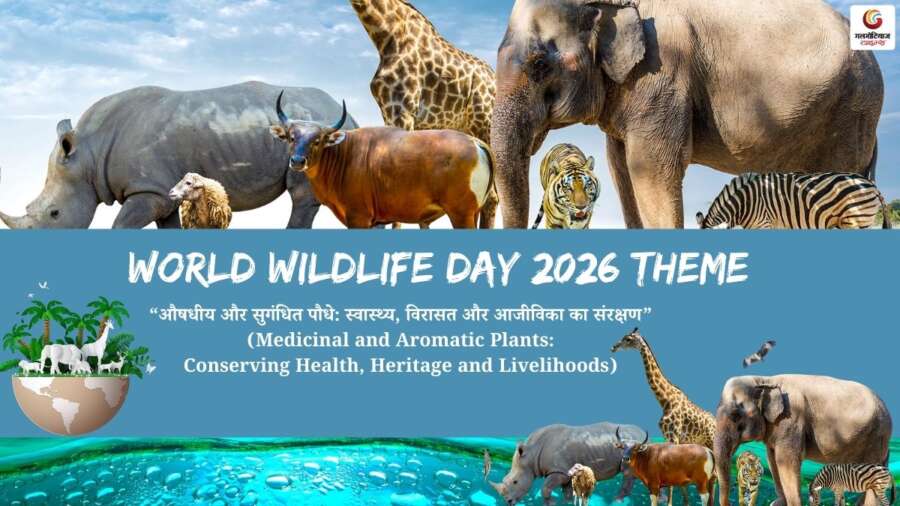 World Wildlife Day Quotes & Wishes share on whatsapp instagram facebook World Wildlife Day Quotes & Wishes share on whatsapp instagram facebook