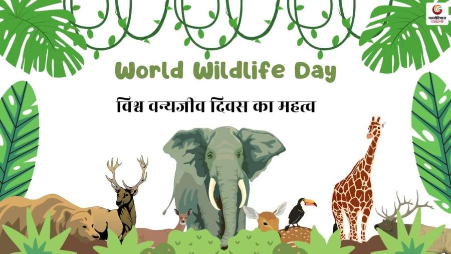 World Wildlife Day Quotes & Wishes share on whatsapp instagram facebook World Wildlife Day Quotes & Wishes share on whatsapp instagram facebook