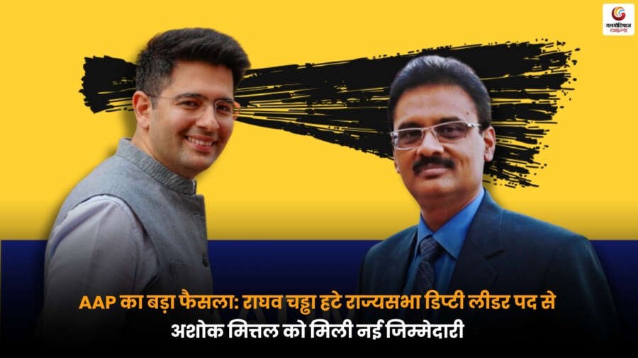 AAP में बदलाव, Raghav Chadha राज्यसभा डिप्टी लीडर पद से हटे, अशोक मित्तल को नई जिम्मेदारी मिली