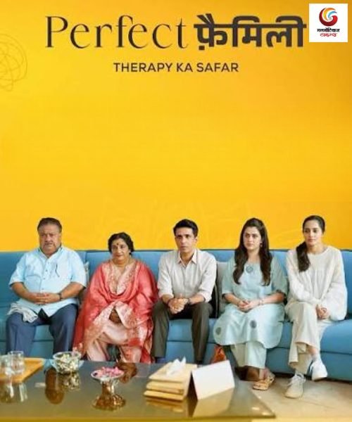 perfect family new ott release this week