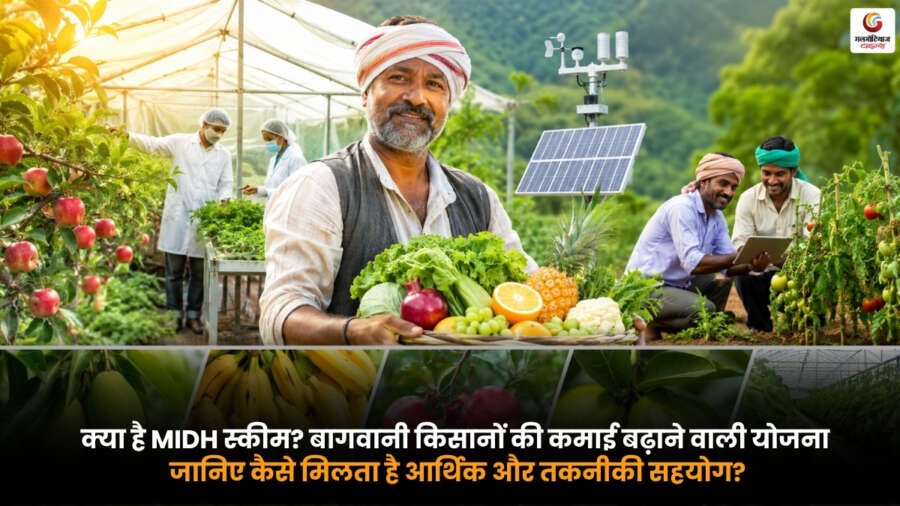 MIDH Scheme के तहत बागवानी किसानों को आर्थिक सहायता और तकनीकी सहयोग मिलता हुआ